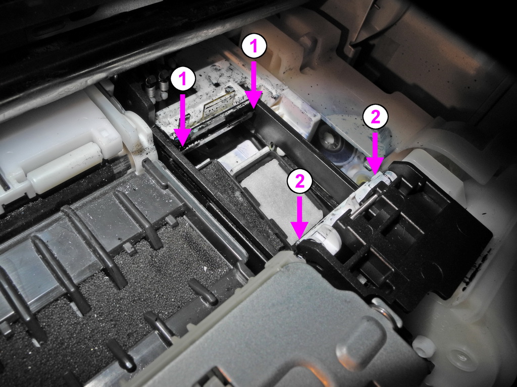 how to remove the print head to a canon ip3000 printer