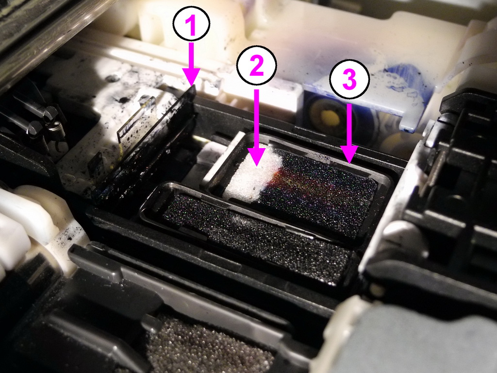 how to clean ink absorber in canon mp470 printer