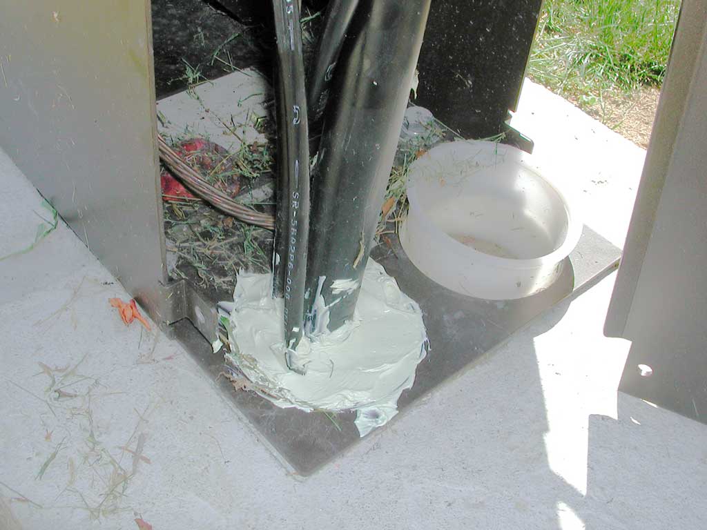 DSCN3232.jpg