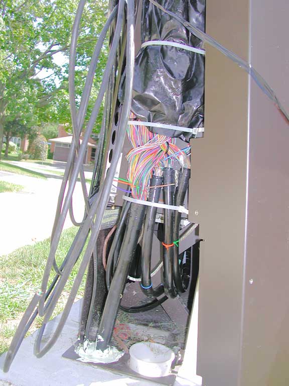 DSCN3236.jpg