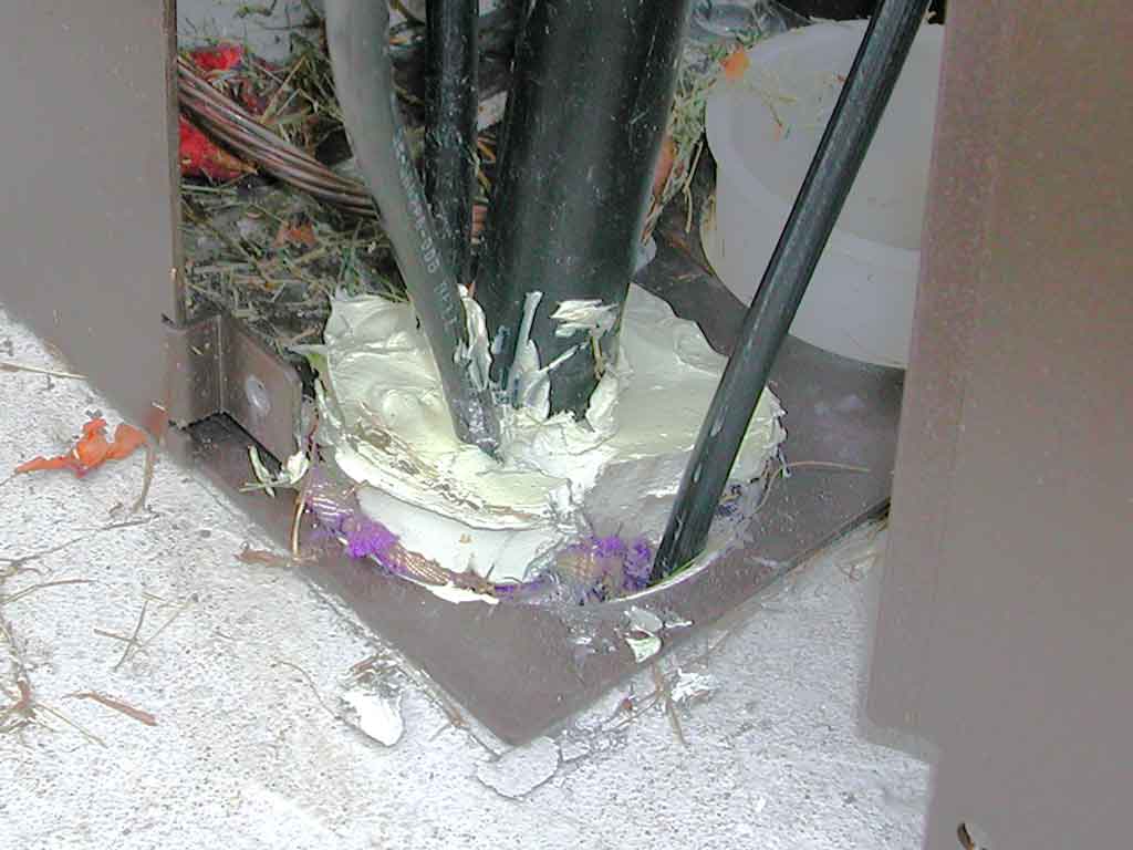 DSCN3378.jpg