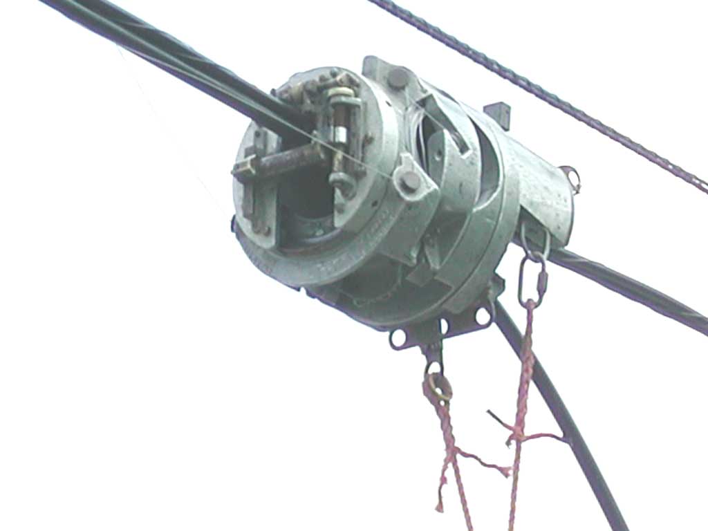 DSCN2766.jpg