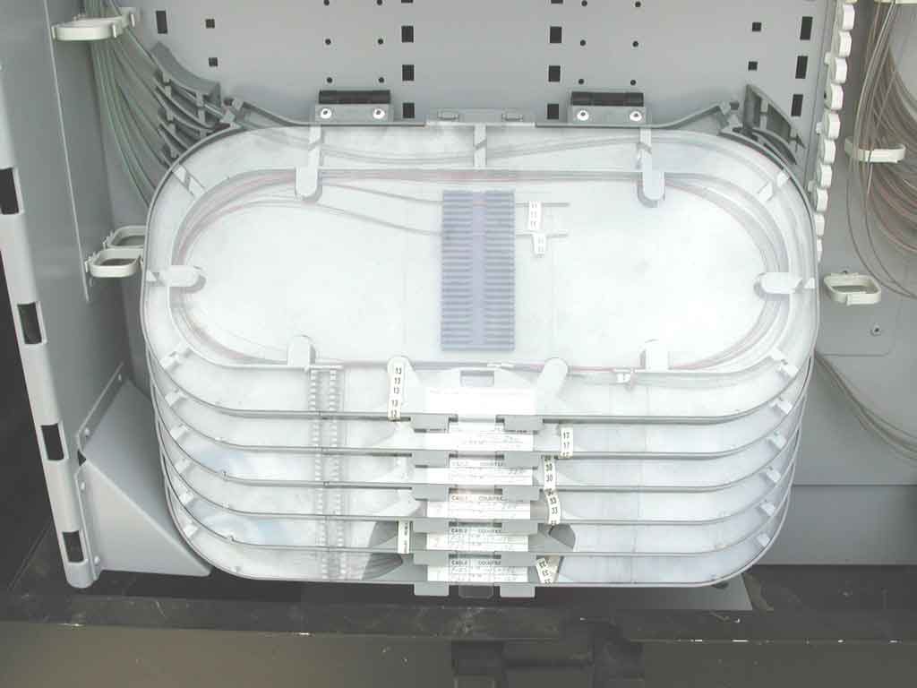 DSCN3535.jpg                        
