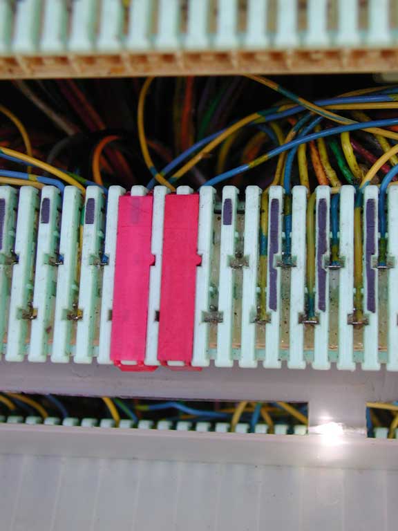 DSCN3674.jpg